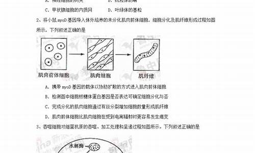 山东理综2020_山东理综高考