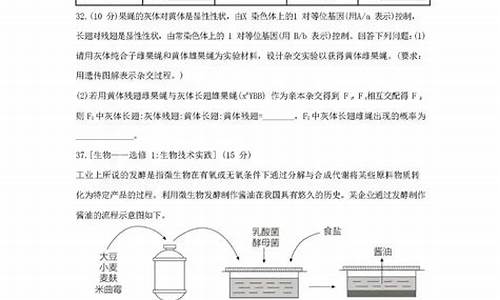 甘肃高考理综试题及答案,甘肃理科高考答案