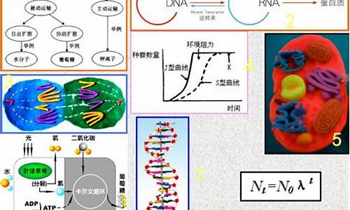 生物高考模型,高考生物模块