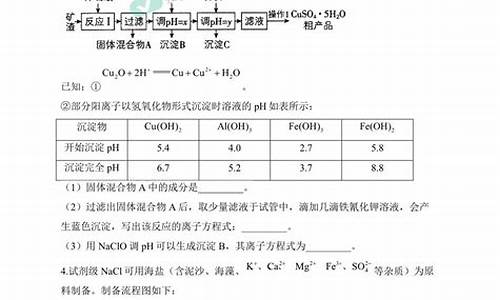 高考离子共存问题规律总结,离子共存高考题